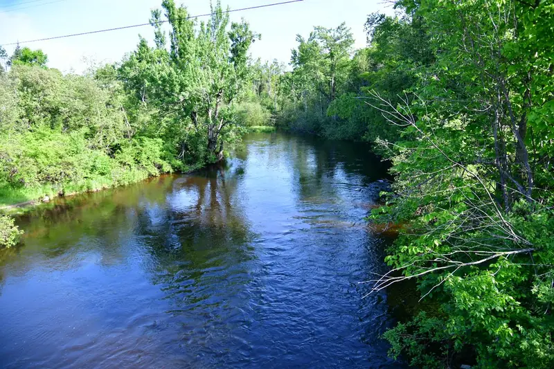 Black River fishing near Milligan Vacation Homes